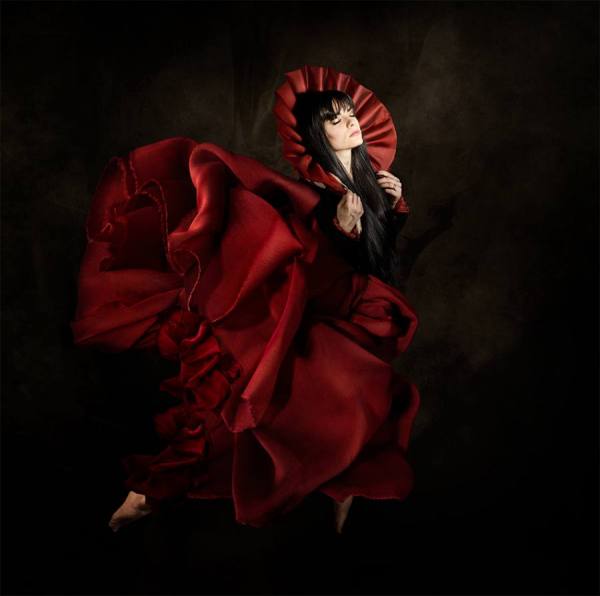 Photograph Patrizia Burra Fly on One Eyeland
